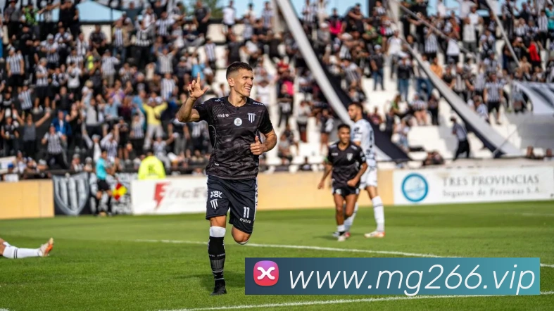 MG娱乐平台官网平台生态图